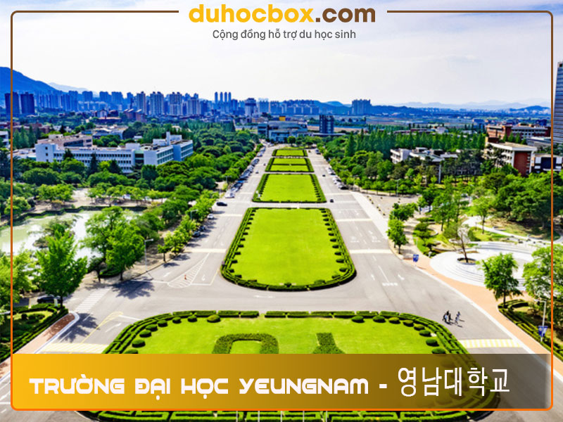 Trường Đại học Yeungnam - 영남대학교