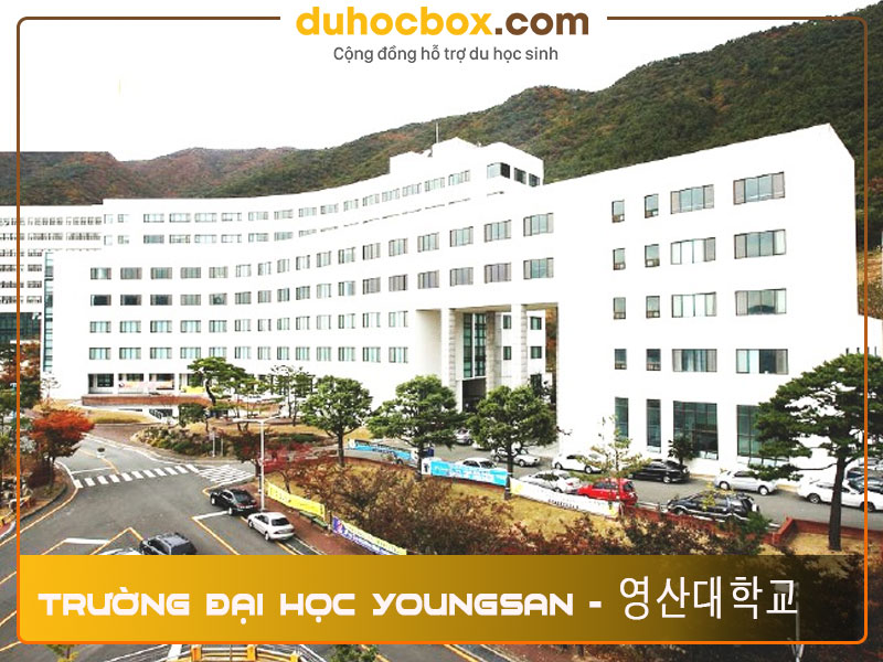 Trường Đại học Youngsan - 영산대학교